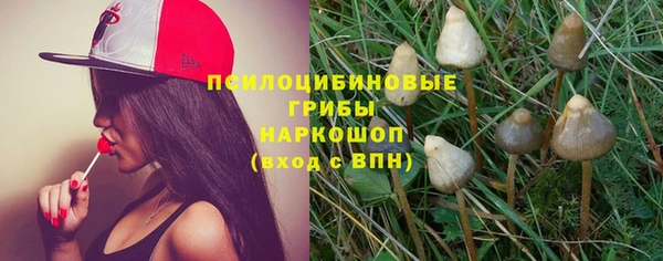 apvp Ладушкин