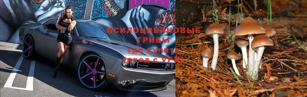 apvp Ладушкин