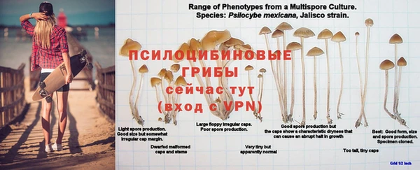 apvp Ладушкин