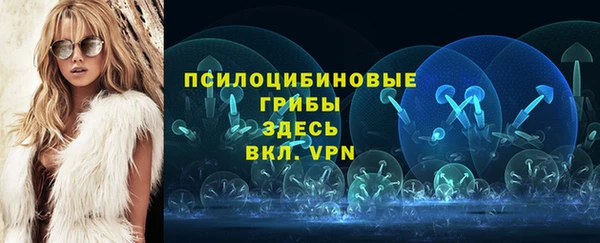 apvp Ладушкин