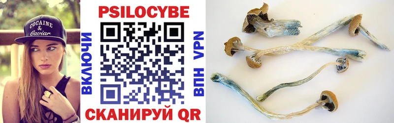 Купить закладки  Сланцы  Псилоцибиновые грибы мухоморы 